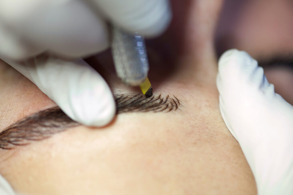 Kaş Simülasyonu